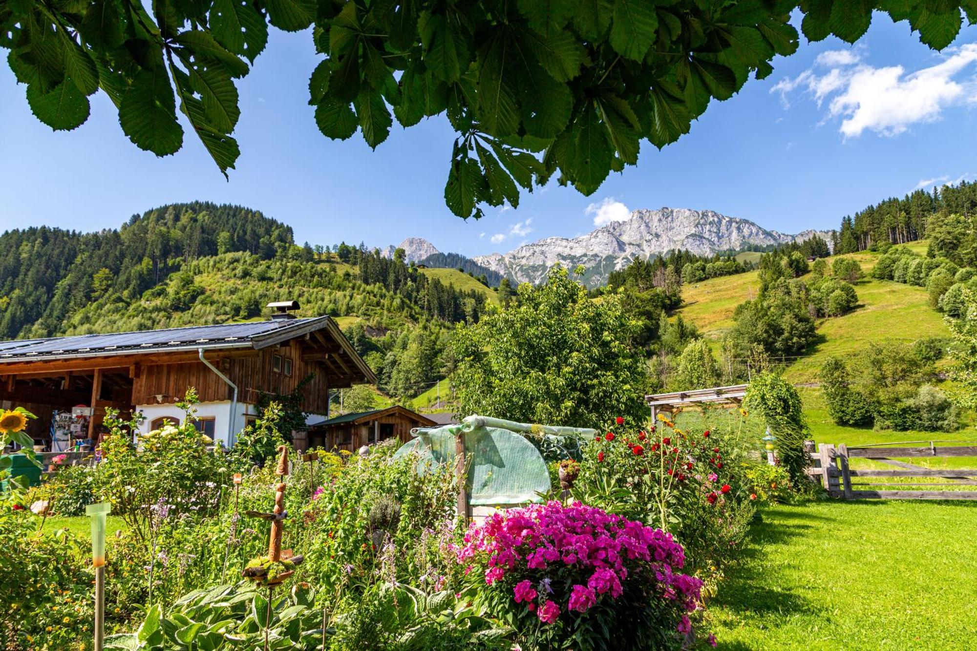 Herzoghof ลีโอกัง ภายนอก รูปภาพ
